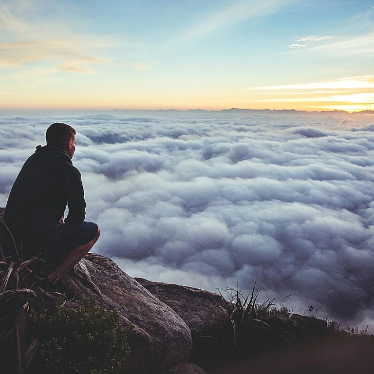 Understanding the Team Software Process in Remote Work