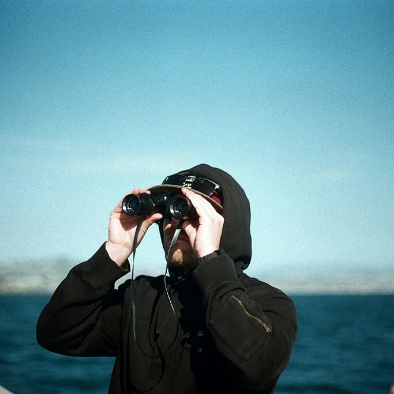 Exploring Opportunities in Remote SaaS Positions