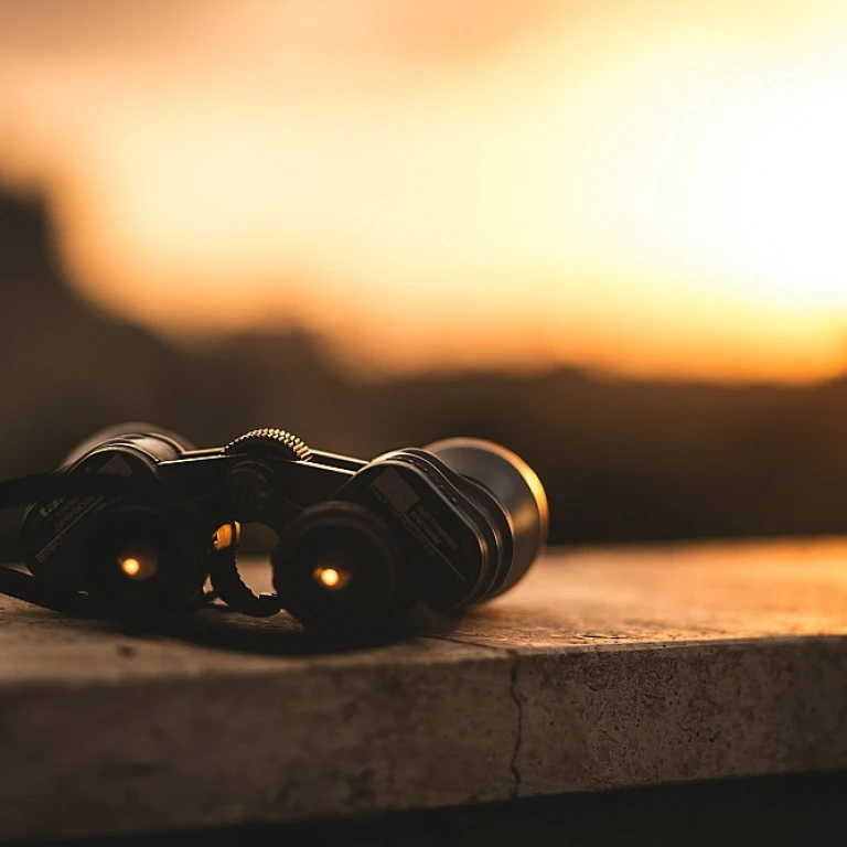 Celebrating the Role of Human Resources Professionals in Remote Work