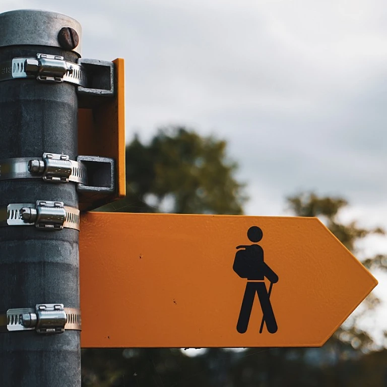 Understanding the Impact of Dell's Employee Layoffs