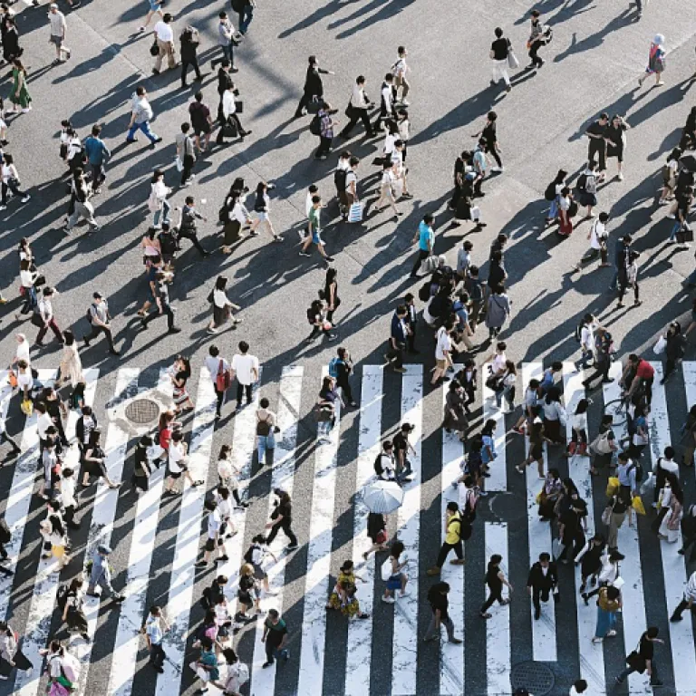Exploring Global Opportunities in Remote Data Entry Jobs