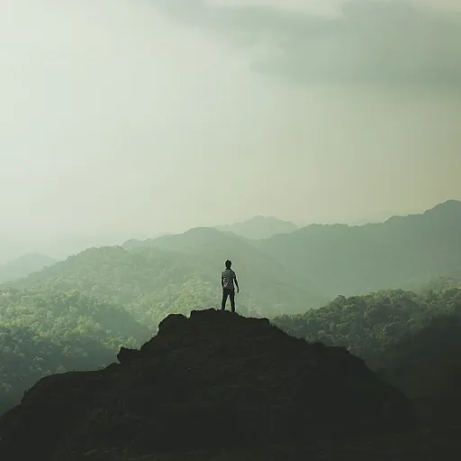 Shedding Light on Remote Work