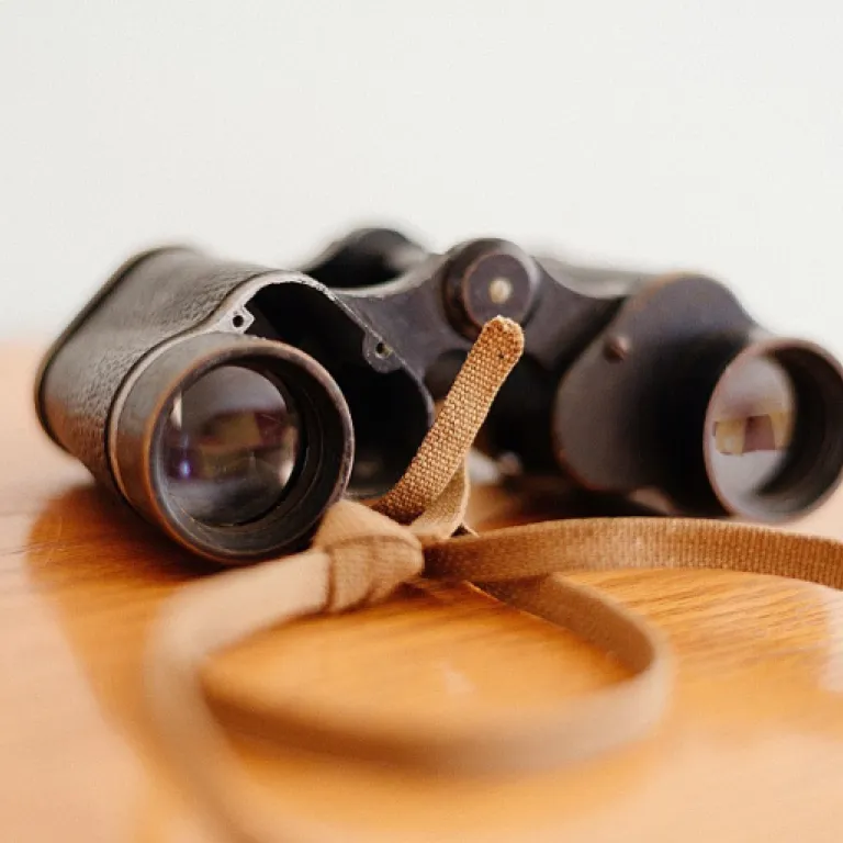 How to effectively track collaboration in remote retail teams